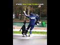 The Last Dog Ran For His Life ️ Edit Dog Chase Newyork Usa
