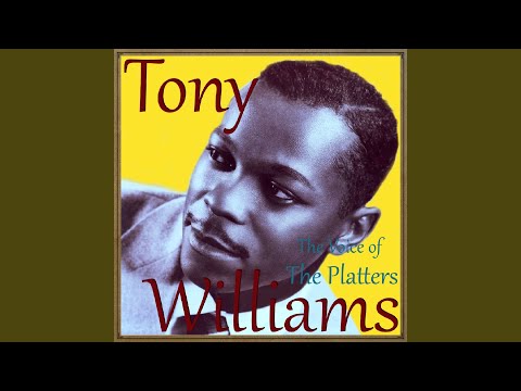 Rose of Washington Square