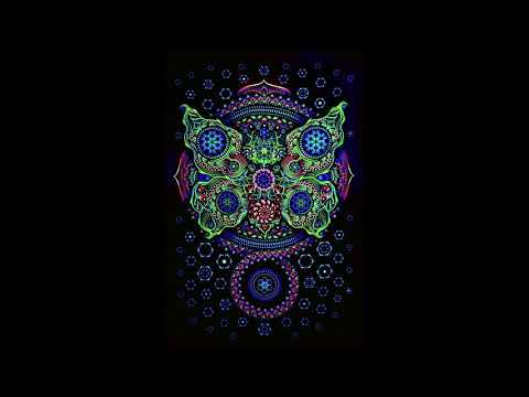 Mentalecho - Butterflies  (200 BPM)