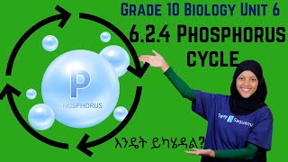 Grade 10 Biology Unit 6:6.2.4 Phosphorus Cycle |Saquama