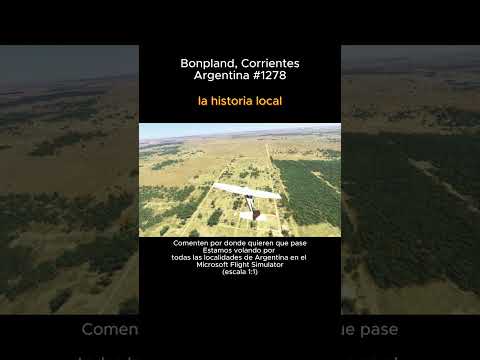 Bonpland, Corrientes desde el Microsoft Flight Simulator #bonpland #corrientes #msfs #argentina