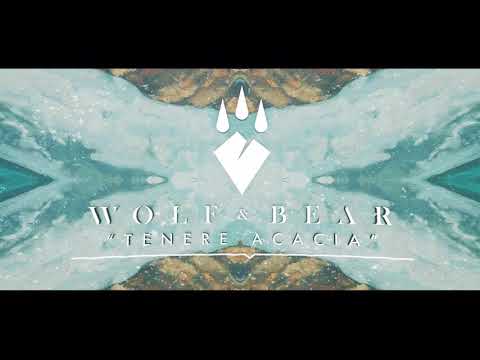 Wolf & Bear - Tenere Acacia