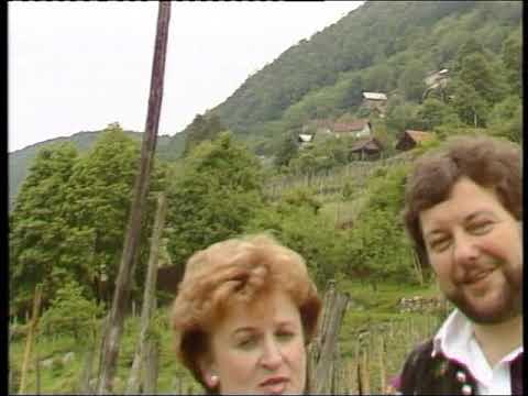 ANSAMBEL SLAVKA PLUTA   Pod Semisko goro