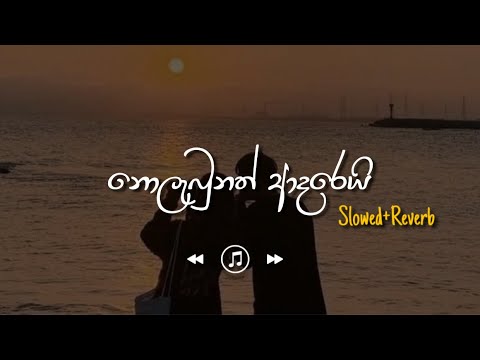 Nolabunath Adarei - නොලැබුනත් ආදරෙයි (Slowed+Reverb)