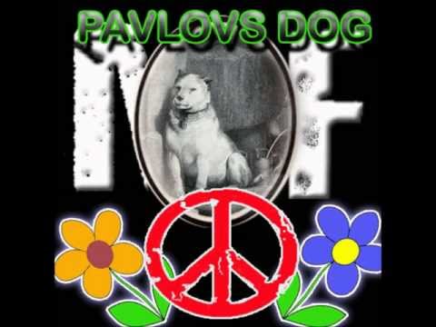 PAVLOVS DOG song dance-Dedicated to the Matala Festival