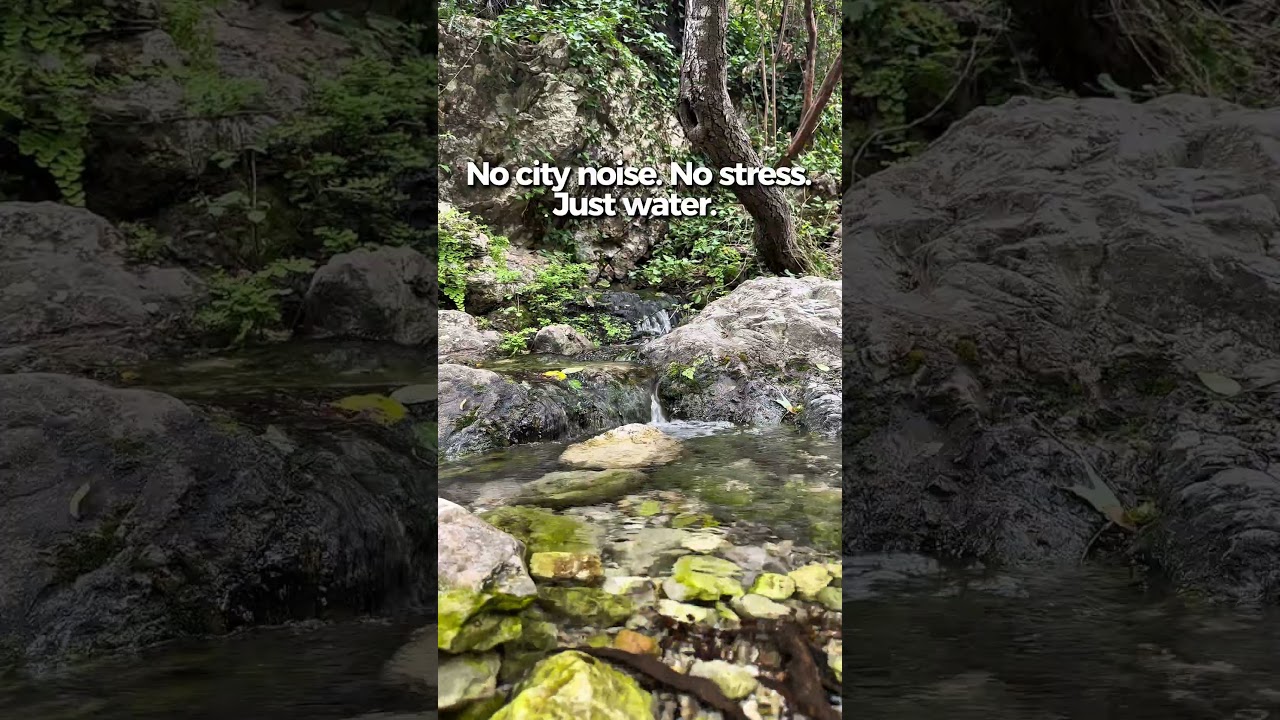 25 SECS of Pure Nature Sound: Calming Water Stream