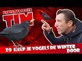 Zo help je vogels de winter door - Tims natuurvlog 16