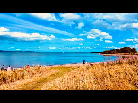 Exploring Granton’s Shore & Secret Garden: Edinburgh Walk 2025