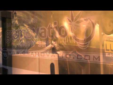 VideoJingle Fly Katanah & Wasko para GramoVatio