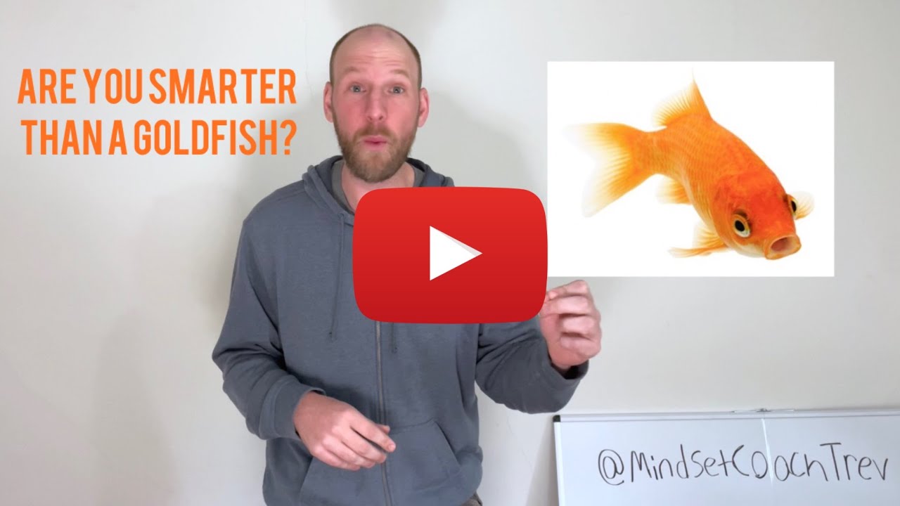 The ONLY 4 Things To Focus On As A Golfer!