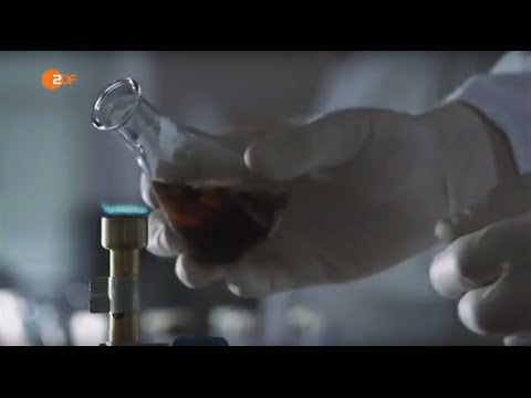 Hefe - kleine Wunderorganismen in der Bier-Produktion - Terra X | ZDF