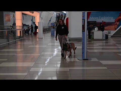 The T. S. A.’s Canine Demonstration Program