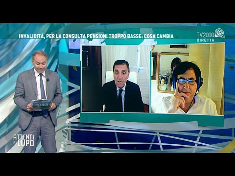 Attenti al Lupo, 30 giugno 2020 - Invalidità, per la Consulta pensioni troppo basse: cosa cambia