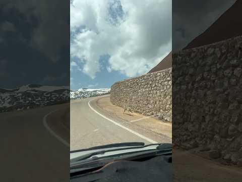 Arabayı kovalayan köpeğin inanılmaz hızı😱