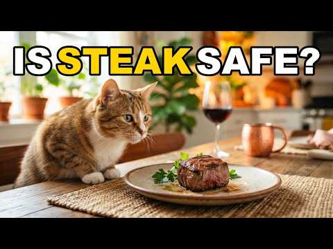 Can Cats Eat Steak? Is Beef Safe For Cats To Eat?