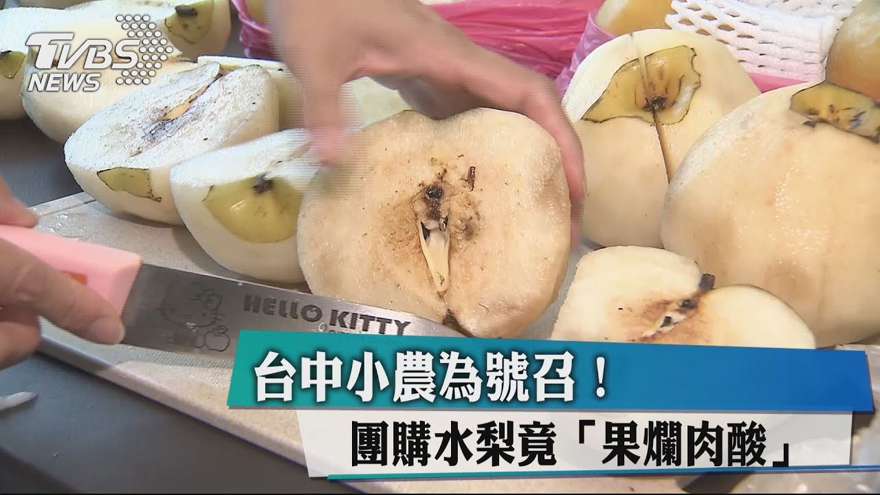 台中小農為號召! 團購水梨竟「果爛肉酸」