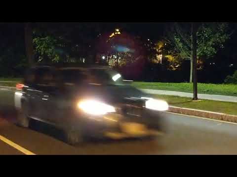 Coyote walks along Park Drive, Boston