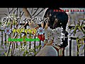 Tumi Ja Bolba Sob Kotha Rakhbo Lofi Song 2023 Tiktok Trending Song Slowed Reverb Lofi