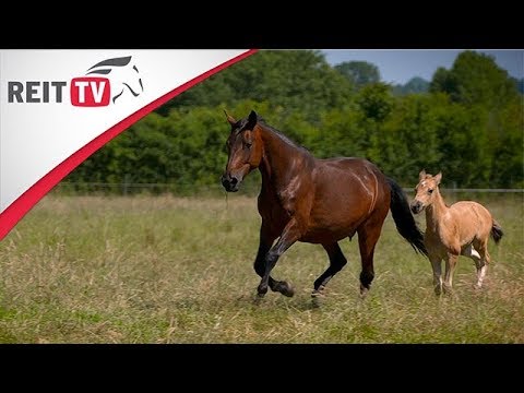 Erkrankungen der Hüftgelenke Behandlung Messerstecherei Rückenschmerzen beim Einatmen