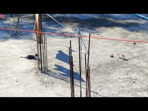 Two cute cats in the RoofTop (Caught on camera)