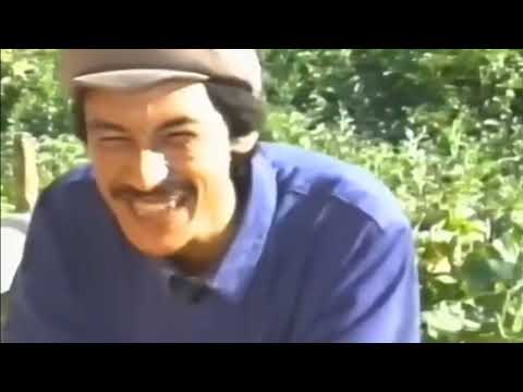 Uyghur Eslep - Patem Rahidin