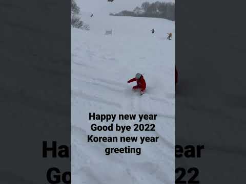 #happynewyear #goodbye2022 #koreannewyeargreetings #lottearairesort #myokosnowsports