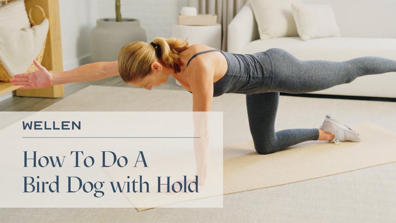 How To Properly Do A Bird Dog with Hold - Strength and Posture Exercises - Wellen - YouTube