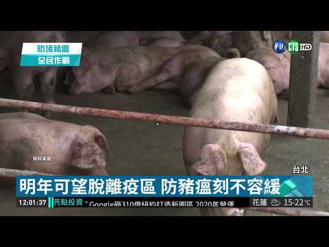 防豬瘟中央災變中心成立 賴揆親坐鎮