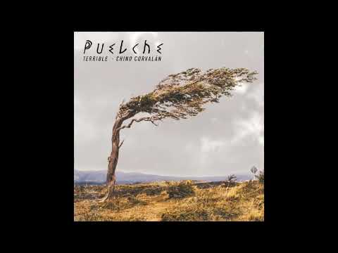 07- Terrible · Chino Corvalán - La plandemia (Ft. Matiah Chinaski & Dj Perez)