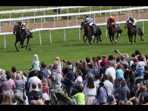 Köln: Röttgen Cup (L) - Sieger: Devastar