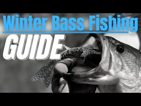 WINTER Bass Fishing COMPLETE GUIDE // Where do They go in Cold Water??
