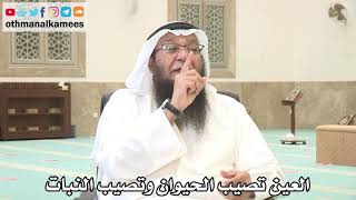 155 - العين تصيب الحيوان وتصيب النبات أيضاً - عثمان الخميس - بدر الفيلكاوي