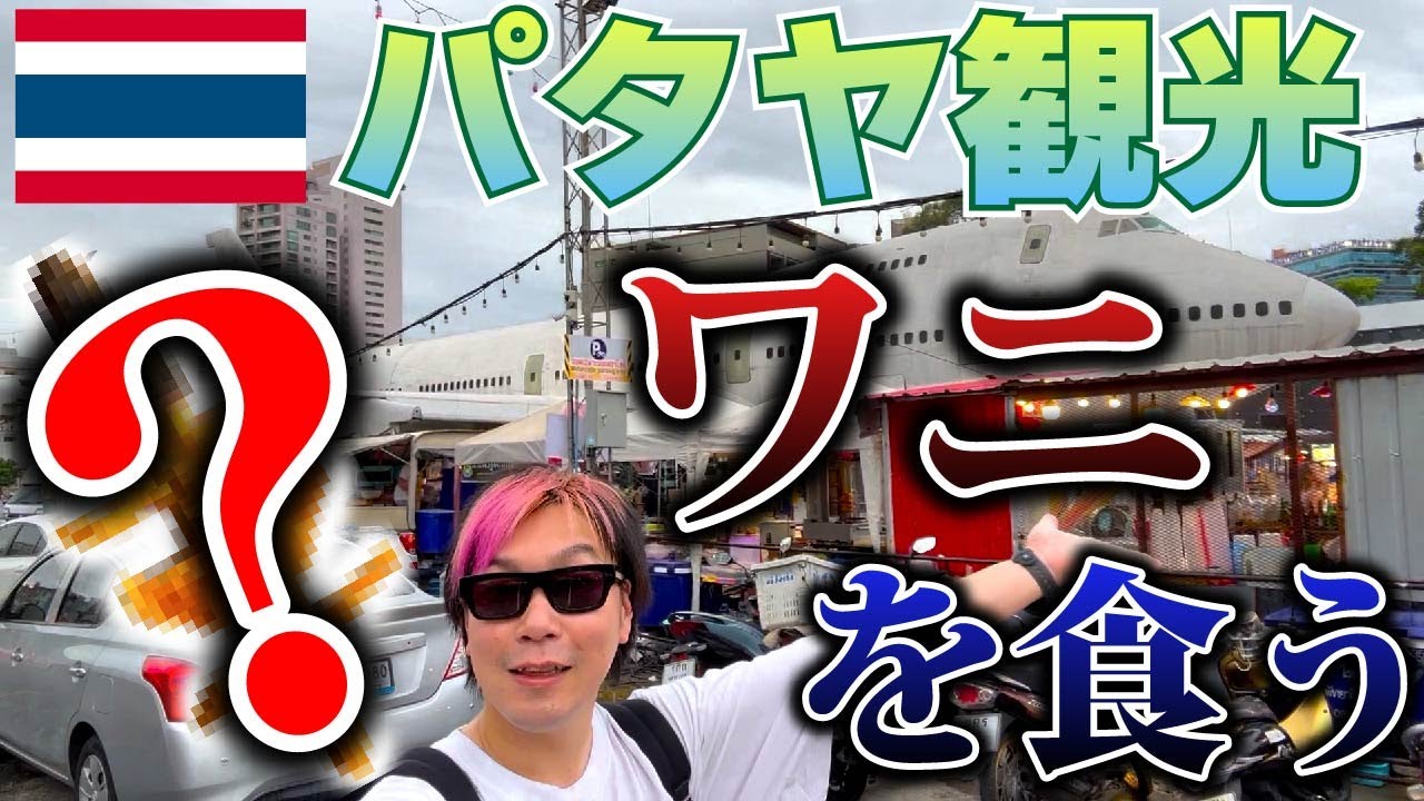 【タイ・パタヤ】ガチの飛行機置いた屋台村でゲテモノ食います！ビーチ観光も