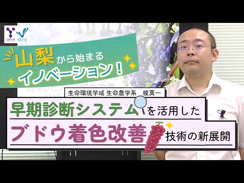 早期診断システムを活用したブドウ着色改善技術の新展開
