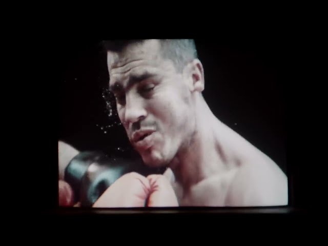 Spektakulär von Sportfreunde Stiller ((jetzt ansehen))