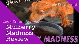 Mulberry Madness Review