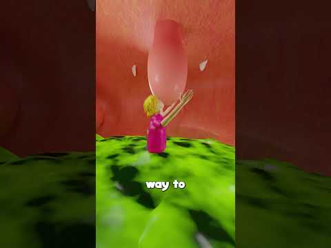 What if a Megalodon Swallows You? - 3D Animation