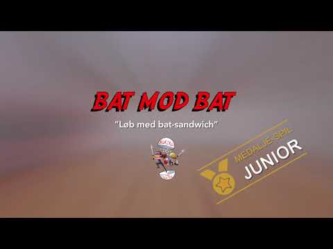 Sukiru Teamwork - Bat mod bat (junior)