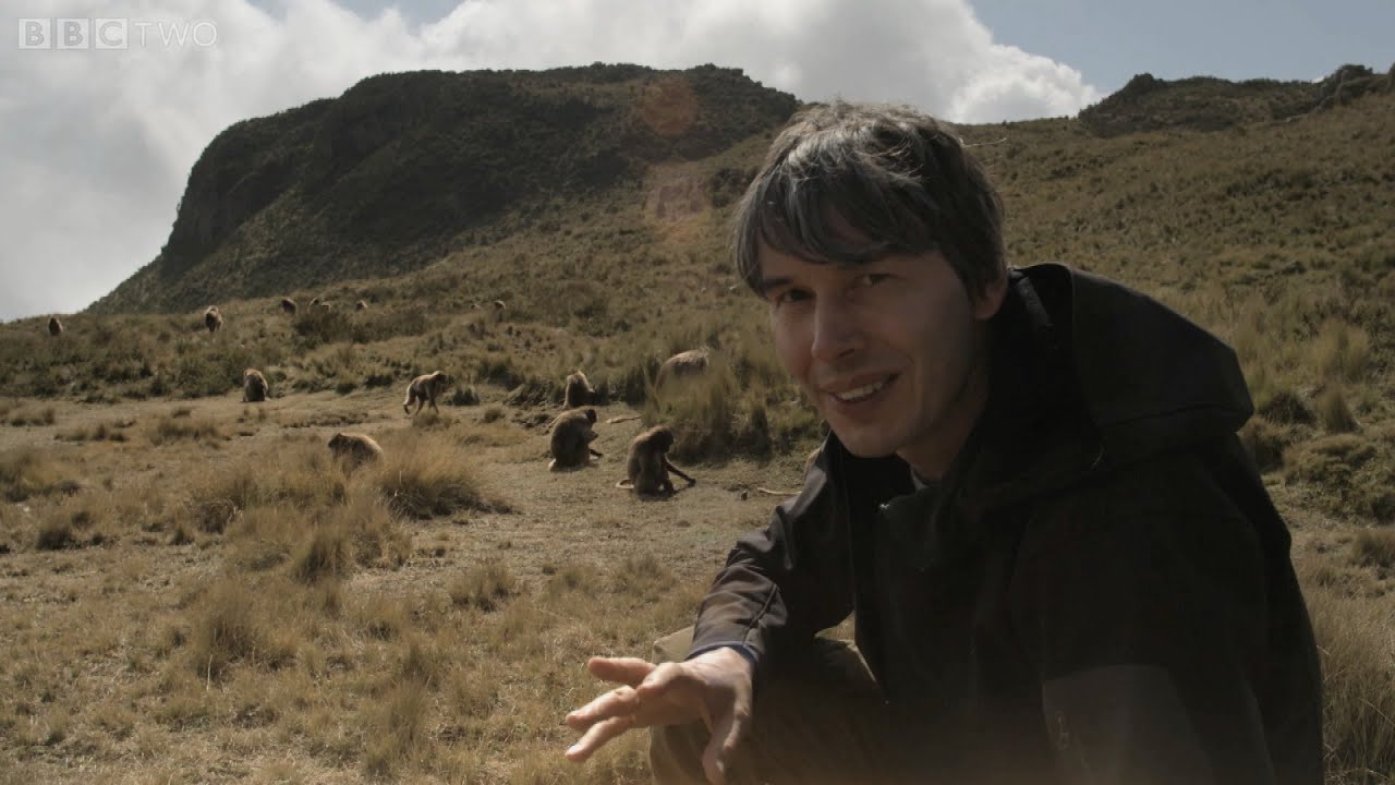 Brian Cox uncovers the gelada baboons - Human Universe: Episode 1 Preview - BBC