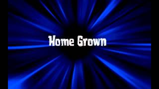 Home Grown - Last Nite Regrets (8 bit)