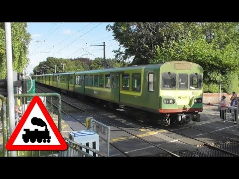 Two IE 8300 Class Dart Trains - Sydney Parade Level Crossing, Dublin