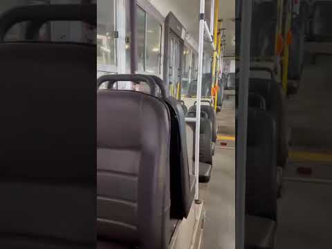 Venta de Colectivos, Buses y Utilitarios | Mundo Bus