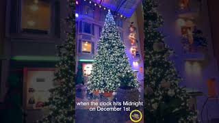 When December 1st hits on a cruise ship !!!￼