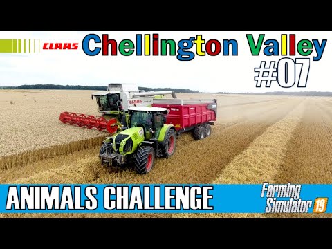 Harvesting Linseed & Collecting Straw | ANIMALS CHALLENGE #07 | CHELLINGTON VALLEY | FS19 | PS4