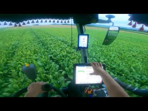 HORSCH  LEEB 6.300 PT | POV | Driver view | GoPro |4K|