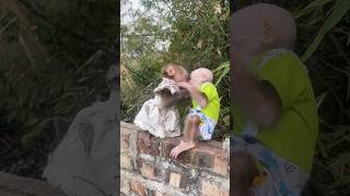 Two monkeys fight over an apple that fell from a height #monky #monkey #cute #funny #adorable #trend