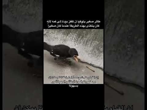 #طفلي_الصغير #طفولة #امومة #تربية_الطفل #الامارات #الرياض #طفلي #اكسبلور #دبي