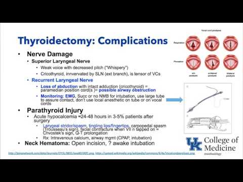 Keyword Review: ENT and Eye - Dr. Schell