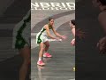 Caitlinclark Wnba Basketball