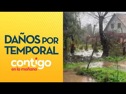 CASAS ANEGADAS: Así va el intenso temporal en Constitución y San Carlos - Contigo en la Mañana